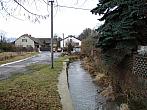 Třibřichy
